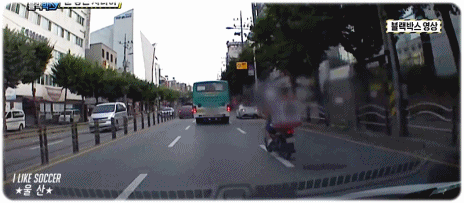 요즘 도심에서 운전할 때 심쿵하는 이유.gif | 인스티즈
