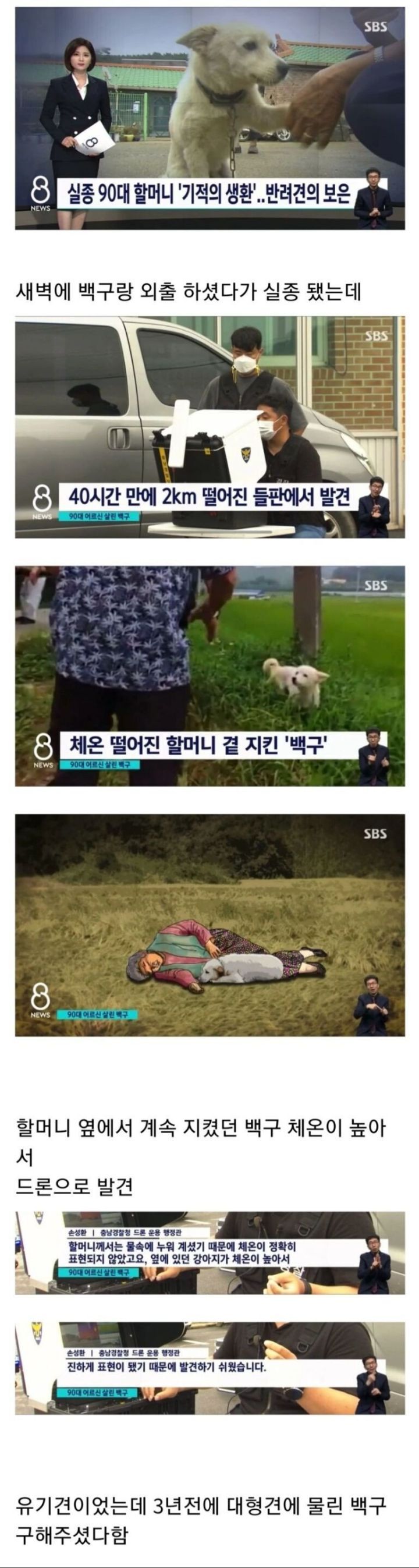 90대 할머니 살린 백구.jpg.gif | 인스티즈
