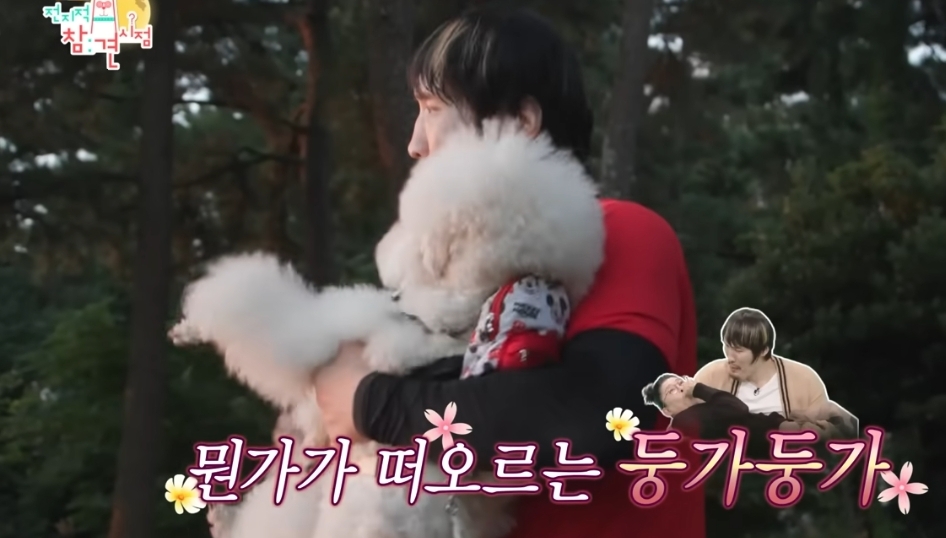 키 2미터 넘는 연예인들이 키우는 강아지...jpg | 인스티즈