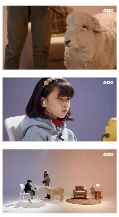 공부하는데 절대 쳐다보지 말 것.jpg | 인스티즈