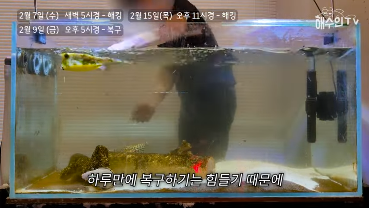 유튜브 계정이 3번이나 해킹 당한 이유 | 인스티즈