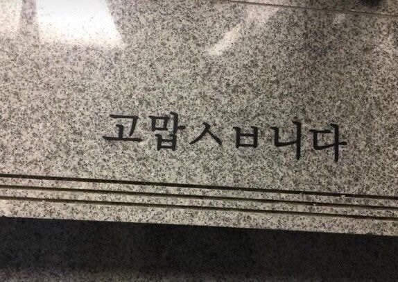 어깨가 평양이세요 | 인스티즈