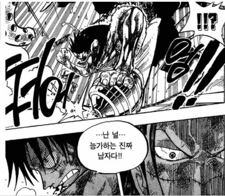 원피스 주인공 보정으로 인한 최대 피해자 2명 | 인스티즈