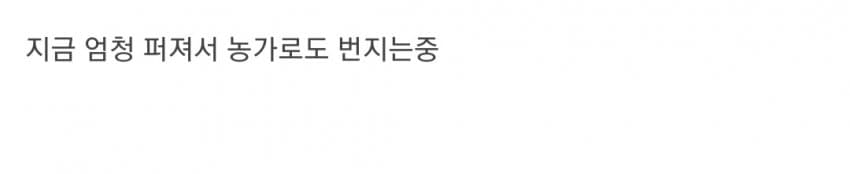 현재 전 세계로 퍼지고 있는 조류 독감.jpg | 인스티즈