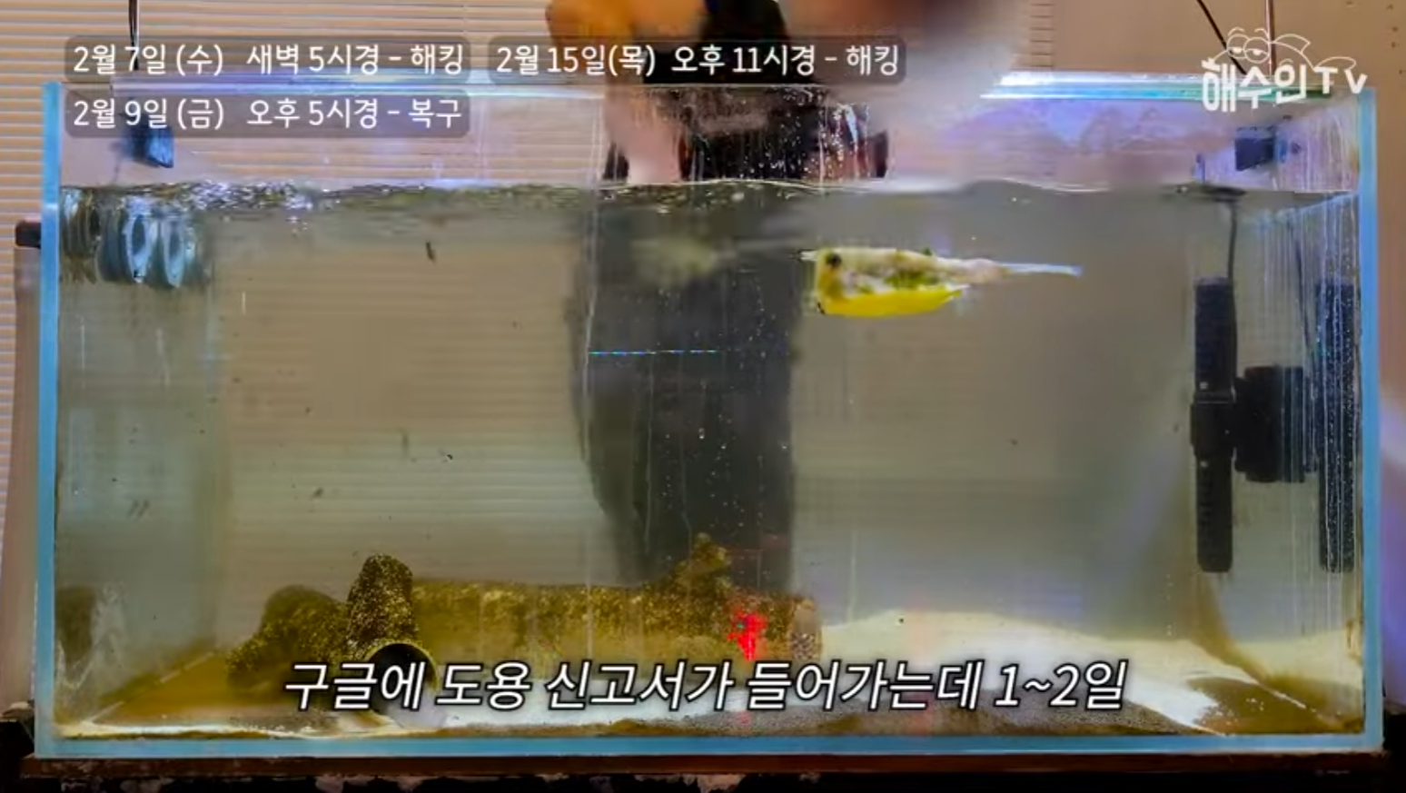 유튜브 계정이 3번이나 해킹 당한 이유 | 인스티즈