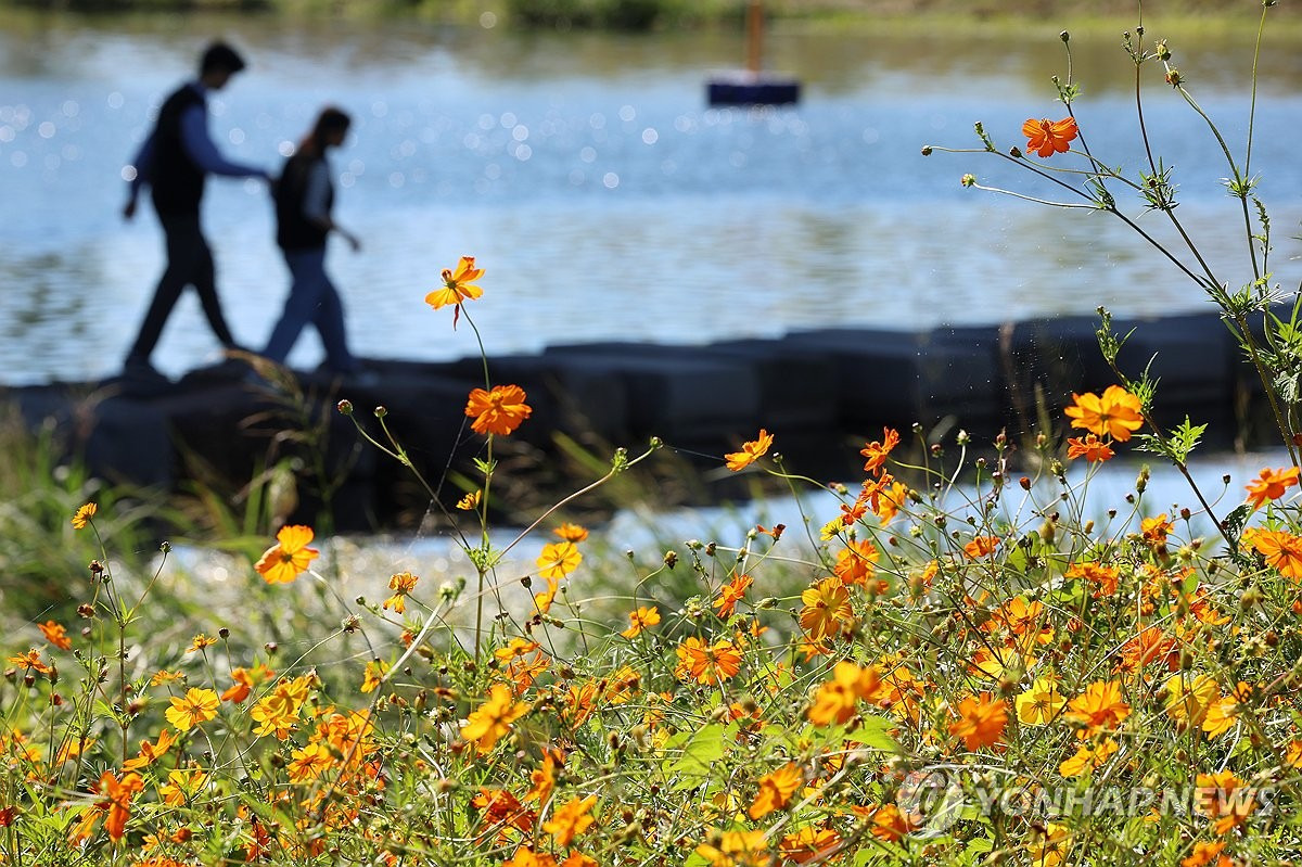 그렇게 꺼지라고 했는데 막상 그리운 녀석.. | 인스티즈