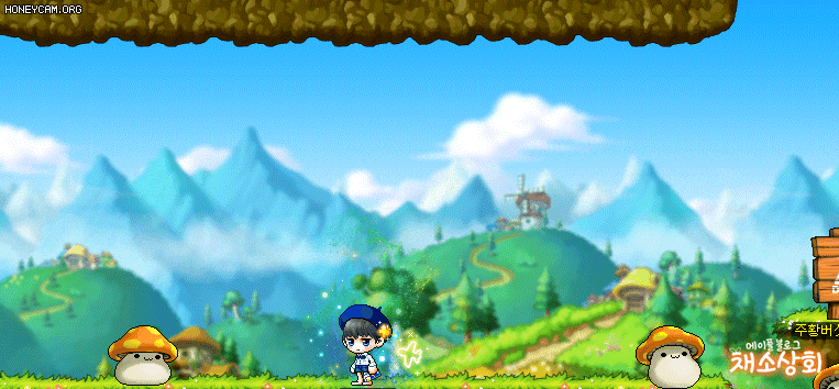 메이플스토리 데미지 스킨 모음 | 인스티즈