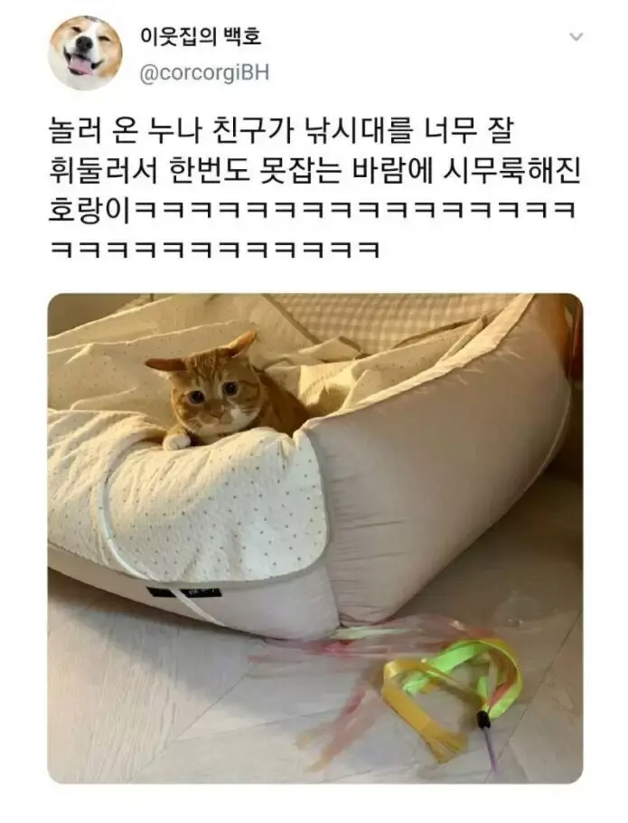 시무룩한 고양이 | 인스티즈