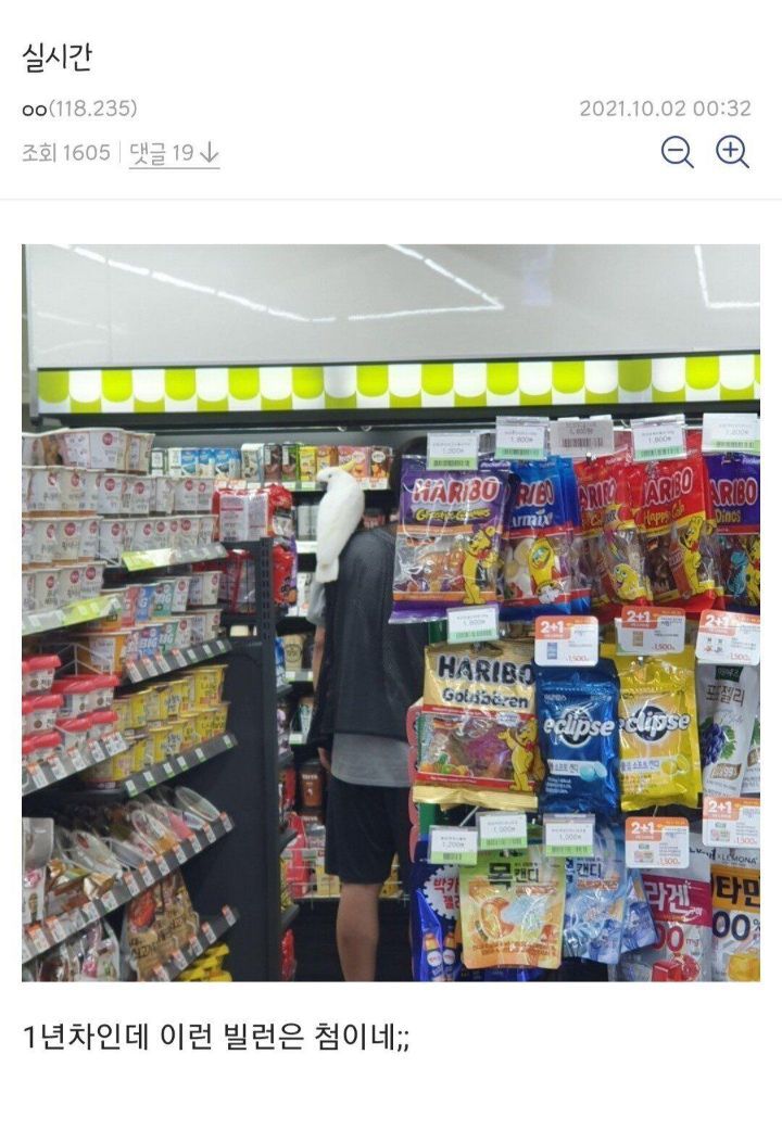 싱글벙글 디시 편의점갤러리.JPG | 인스티즈