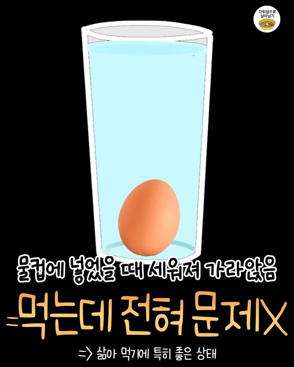 우리집 달걀 상했는지 쉽게 알 수 있는 방법.jpg | 인스티즈