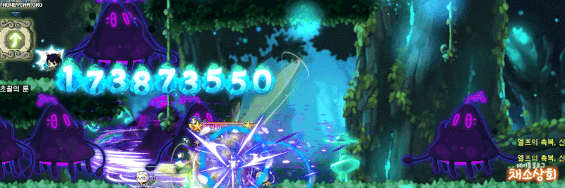 메이플스토리 데미지 스킨 모음 | 인스티즈