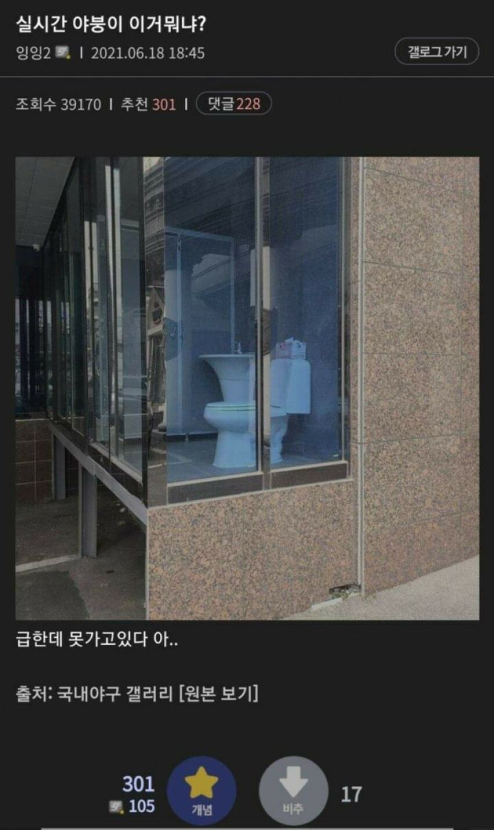 야붕이 실시간 x된 모음집 | 인스티즈