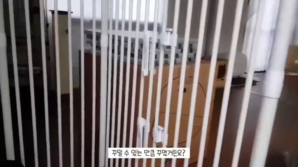 [스압주의] 일본인 캣맘 유튜버 2편 - 3천만원짜리 고양이 집 지음 | 인스티즈