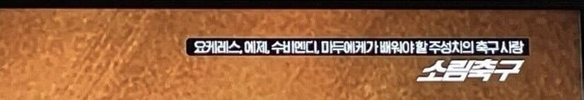 OCN 상단자막 모음 | 인스티즈