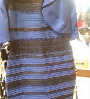 사람마다 다르게 보이는 사진 모음 | 인스티즈