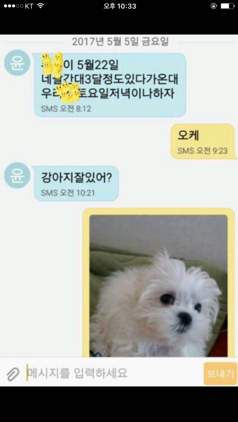 고전) 강아지 사진 하나 보낼때마다 막걸리 1병 | 인스티즈