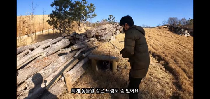 도로 위 야생동물 생태통로를 이용하는 동물들.jpg | 인스티즈