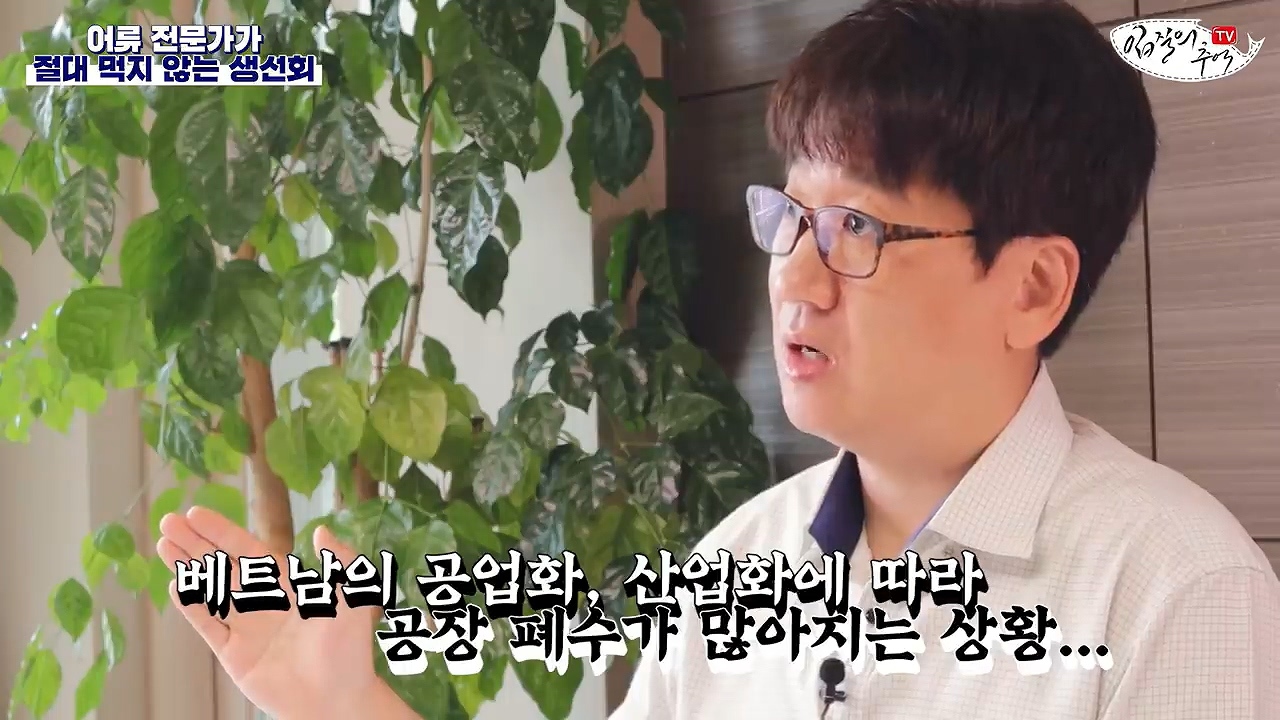 어류 전문가가 꼽은 절대 먹지 않는 생선회 7개 | 인스티즈