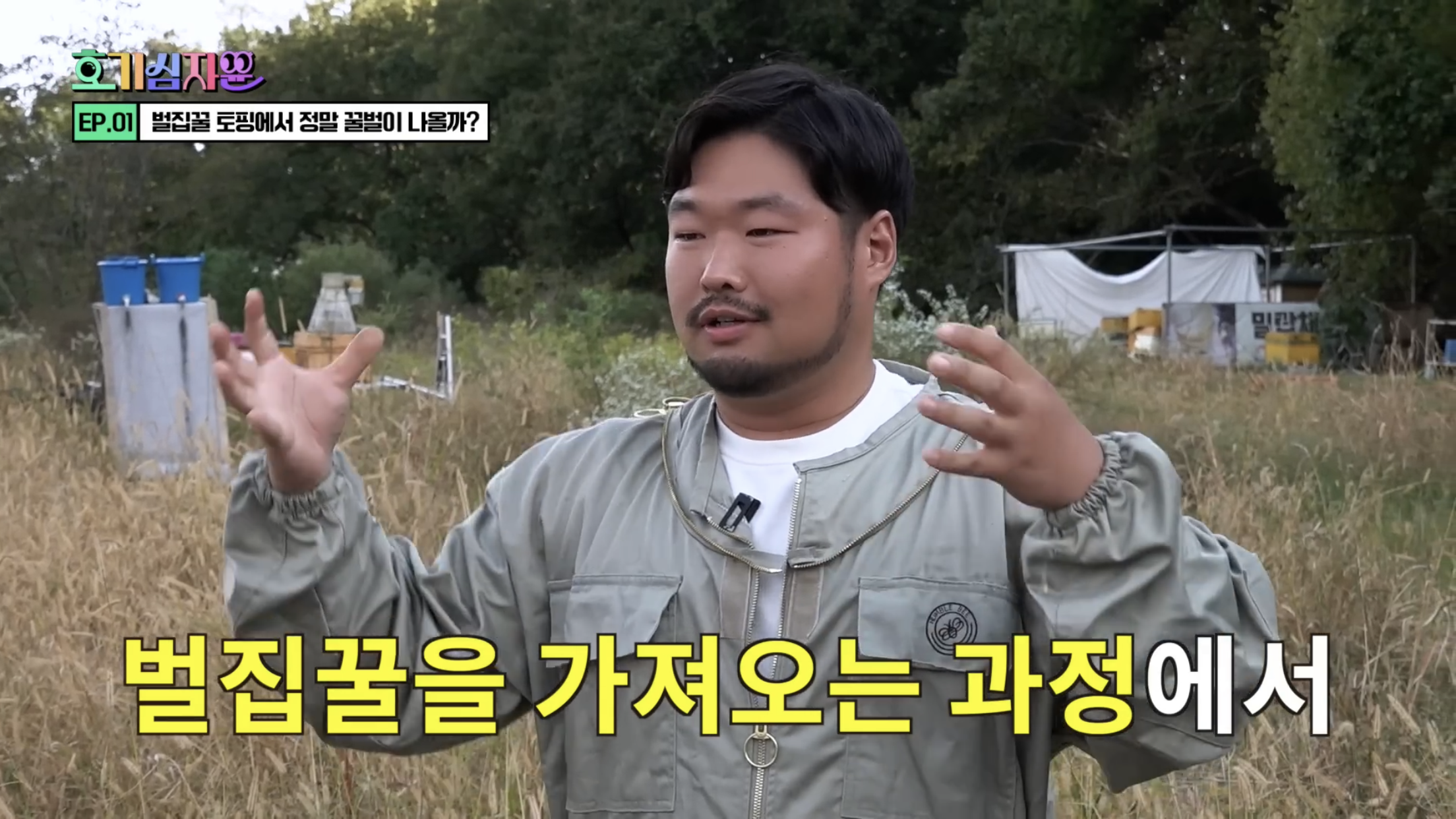 요거트 아이스크림 벌집꿀에서 나오는 벌의 정체............jpg | 인스티즈