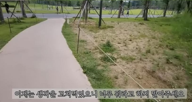 욜로 이미지