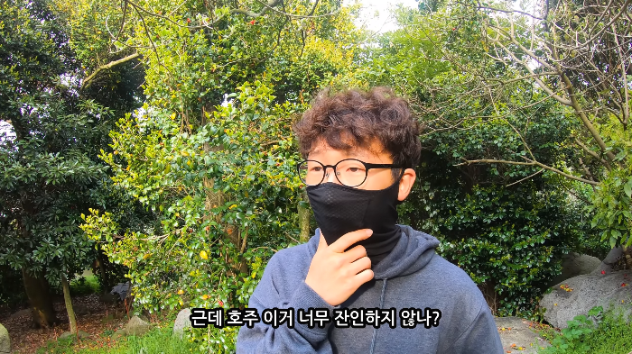 [사진100장스압] 고양이가 자연생태계에 끼치는 심각한 영향 | 인스티즈