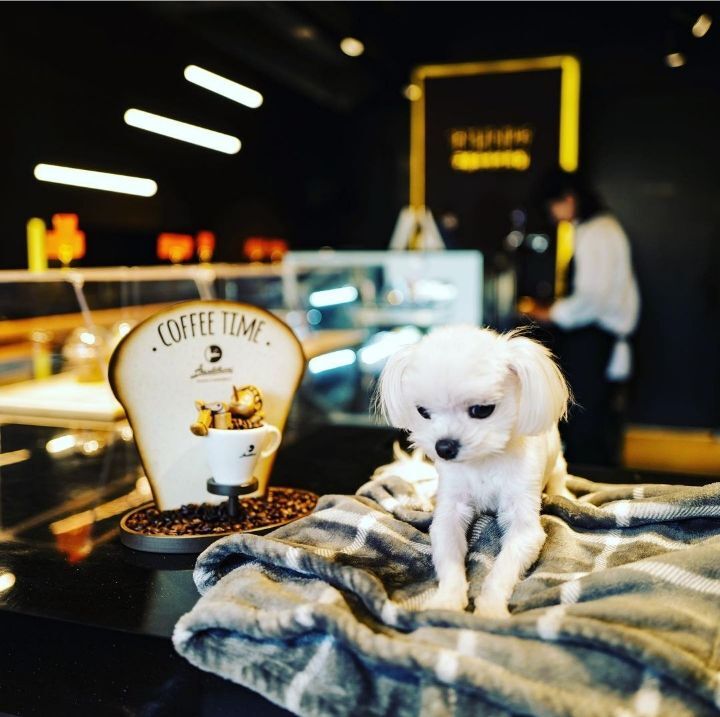 9638340959b34fef485cb39540ac60adbc3fd5f0