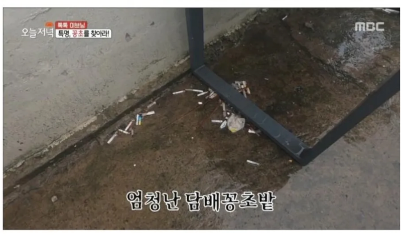 제주도에 있다는 천연 재떨이...JPG | 인스티즈