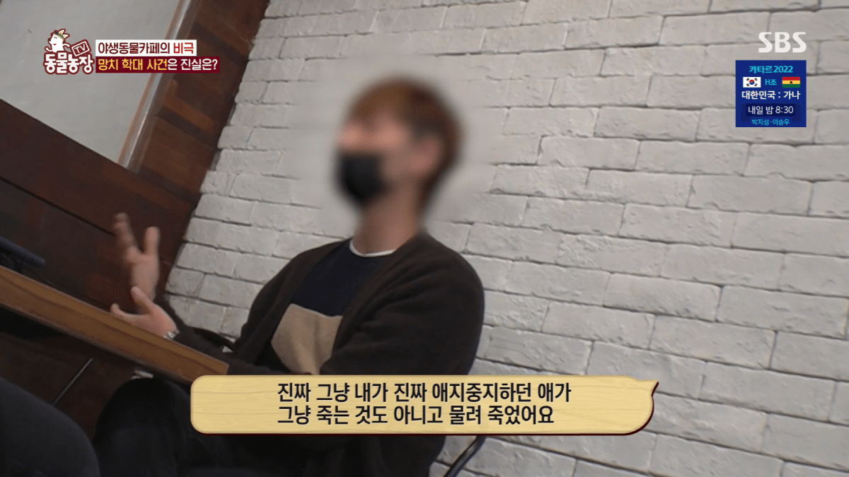 현재 난리난 동물농장에 나온 동물카페 사장.jpg | 인스티즈