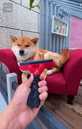 도지코인 채굴 현장 | 인스티즈