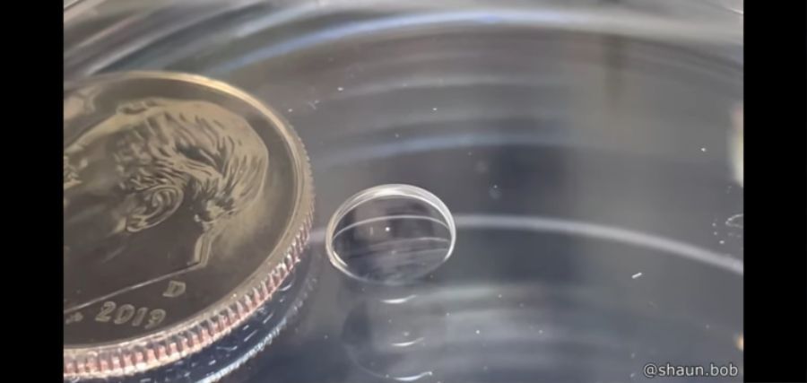 실제 난자 크기.jpg | 인스티즈