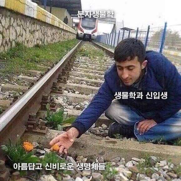 공대 신입생 공감 | 인스티즈