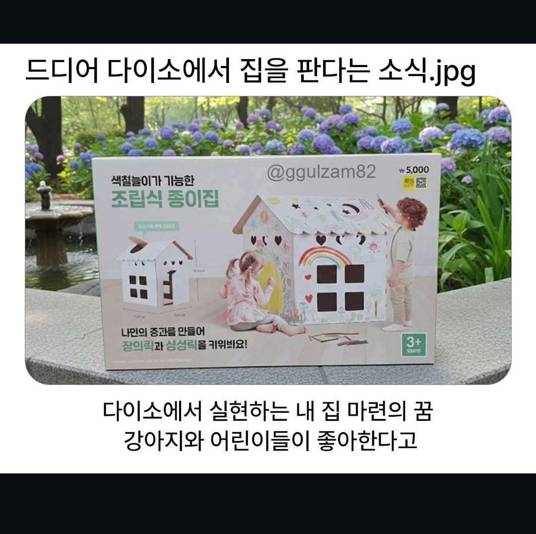 드디이 다이소에서 집을 판다는 소식 | 인스티즈