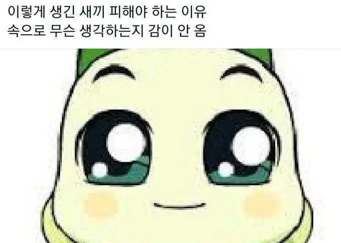 ???: 이런 눈 하고있는 새끼는 무조건 피해라 | 인스티즈