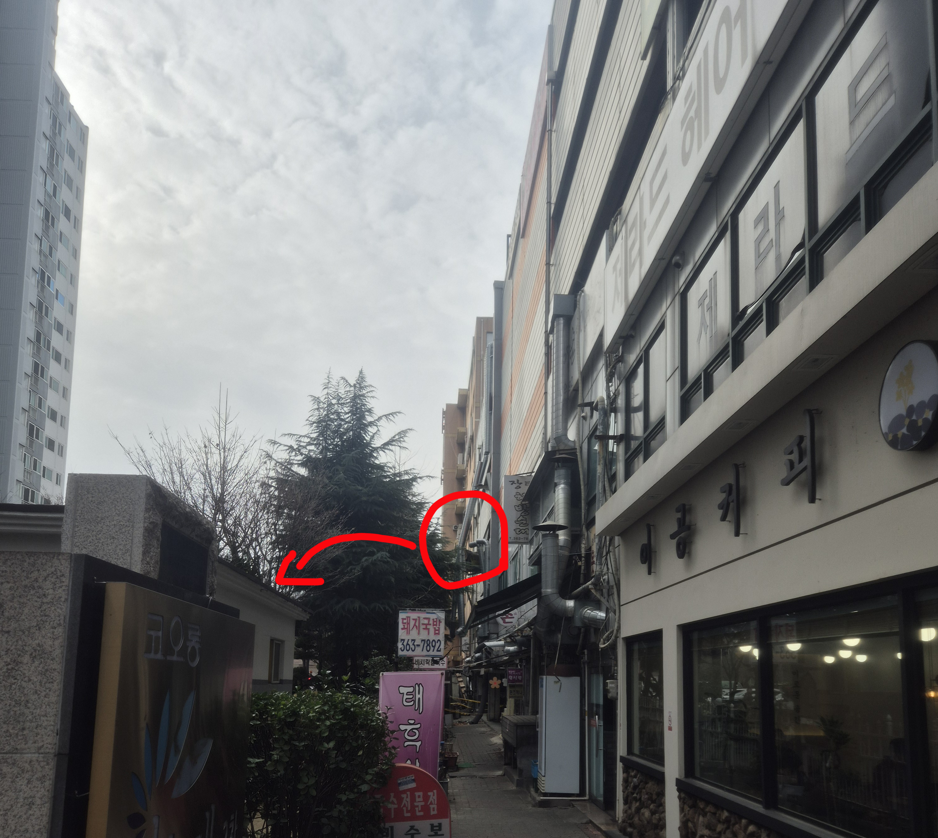 어제밤 7시쯤 음주 차량 주차 타워에서 아파트로 다이빙 | 인스티즈