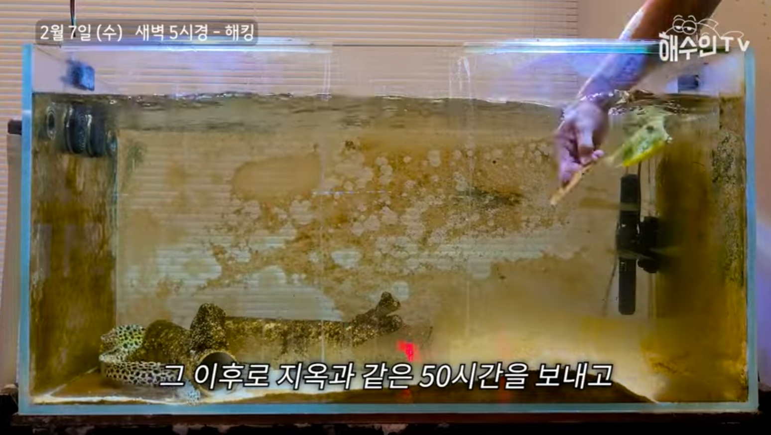 유튜브 계정이 3번이나 해킹 당한 이유 | 인스티즈