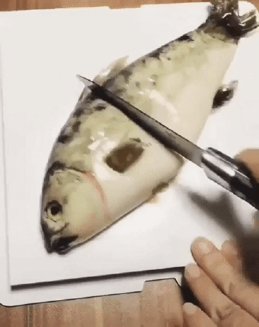 비려보이는 붕어빵 | 인스티즈