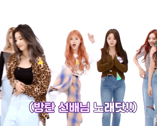 아이돌챌린지에 출연한 프로미스나인 멤버들! 2탄! | 인스티즈