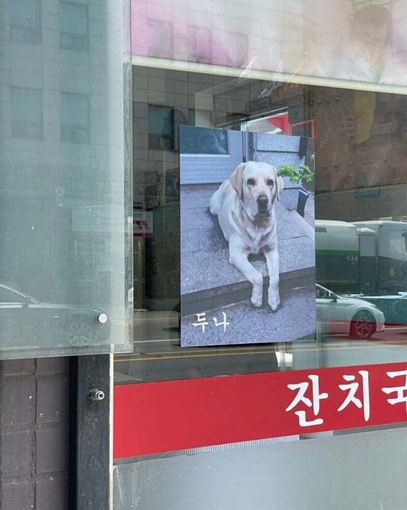 맥락없이 다짜고짜 댕댕이를 자랑하는 사장님들.jpg | 인스티즈