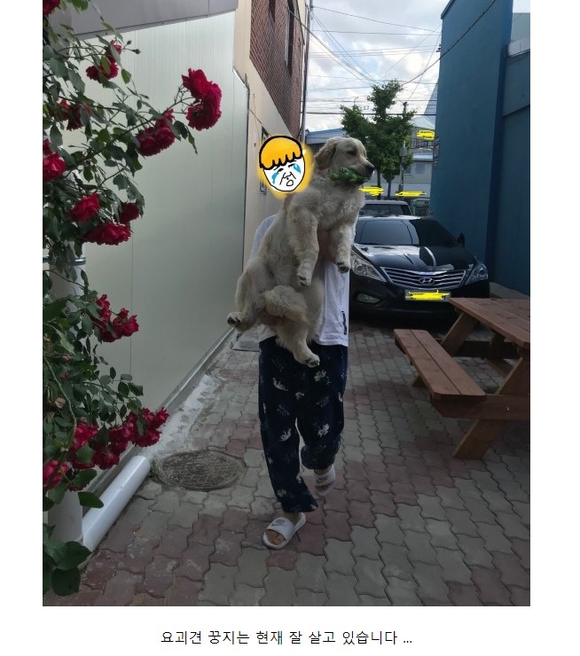 만신 엉덩국 근황 | 인스티즈