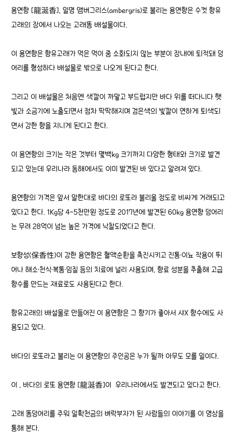 해안가 갔을때 유심히 잘 살펴봐야하는 이유 | 인스티즈