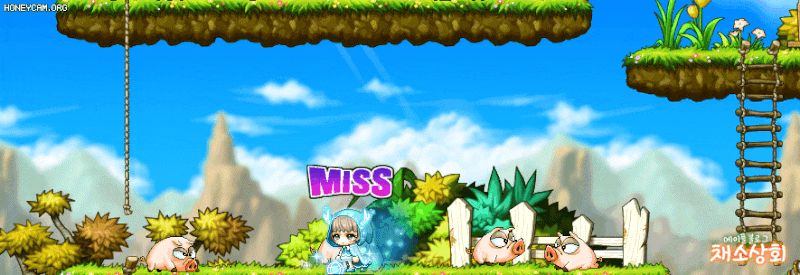 메이플스토리 데미지 스킨 모음 | 인스티즈