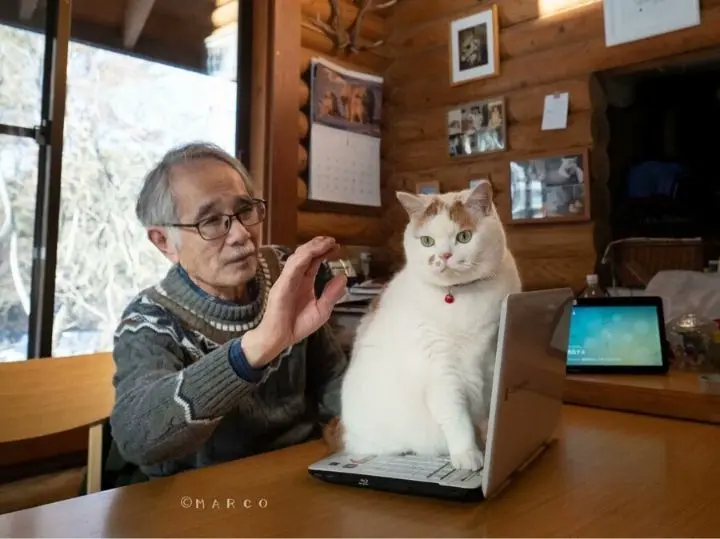 내가 만지지 말랬지!!!!!! | 인스티즈