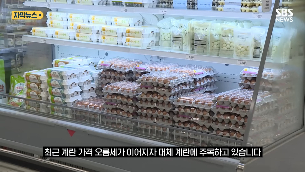 90%일치 대체 계란 만든 계란 스타트업 | 인스티즈