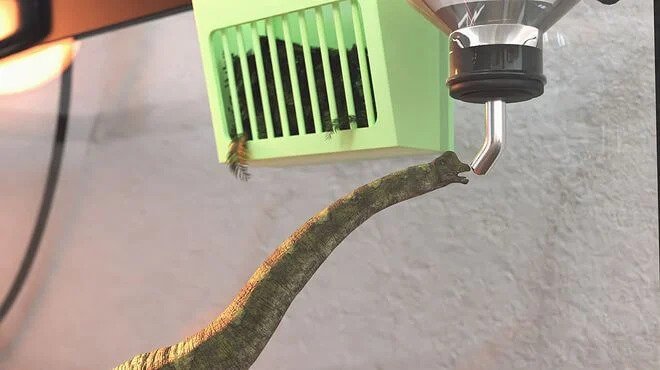 요즘 유행한다는 애완동물.jpg | 인스티즈