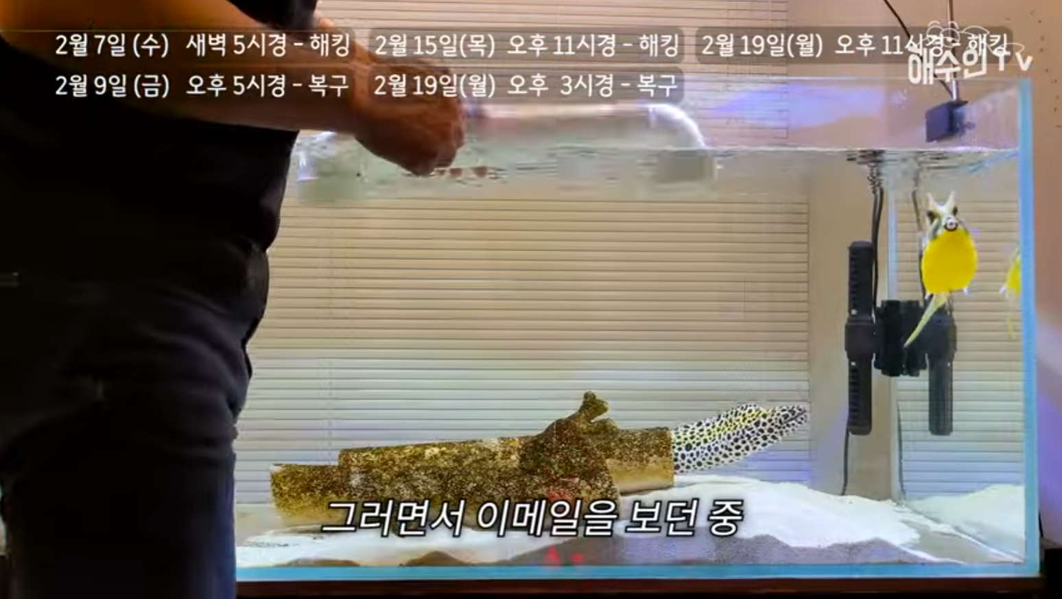 유튜브 계정이 3번이나 해킹 당한 이유 | 인스티즈