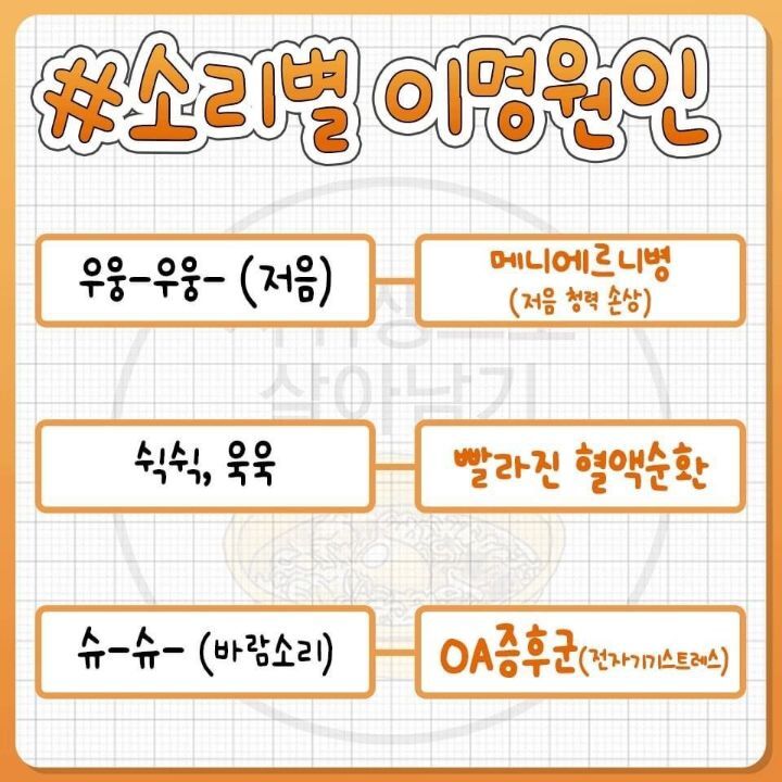 귀에서 나는 소리별 이명 원인.JPG | 인스티즈