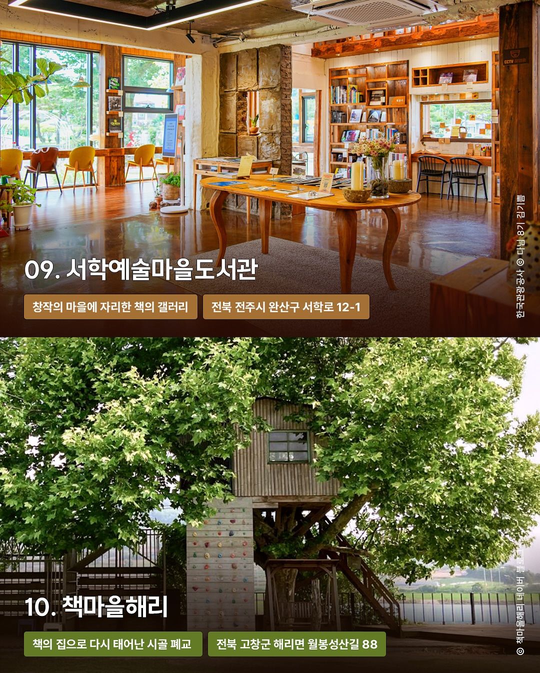 Daum 카페