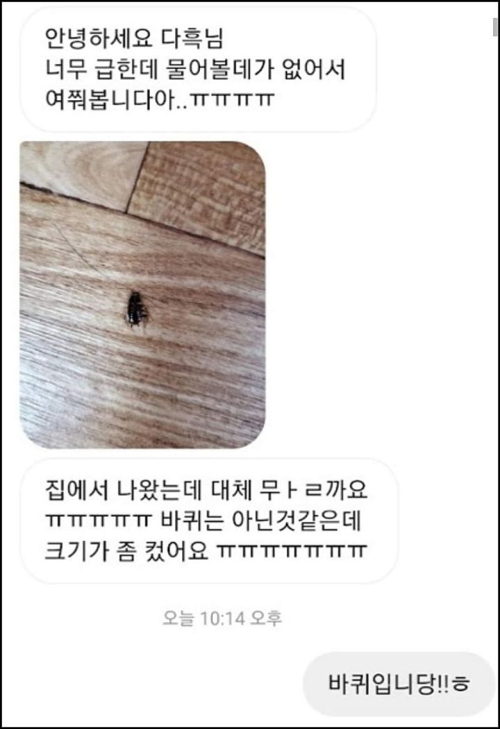 모르는게 없는 유튜버ㅋㅋㅋㅋㅋㅋ.jpg | 인스티즈