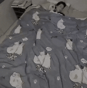 이불 덮어주는 댕댕 | 인스티즈