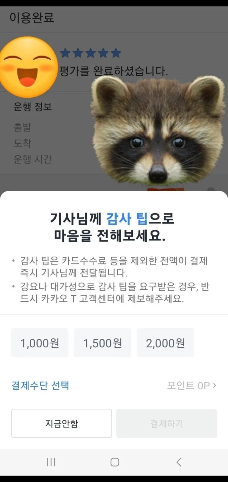 미국에서 선진문물을 들여온 카카오 택시 | 인스티즈